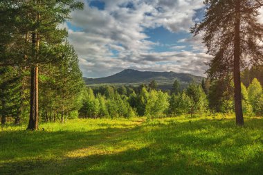 Tayga ormanlarının panoramik manzarası ve alçak bir dağ ya da tepe. Rusya 'da Urallar ve Sibirya ormanları