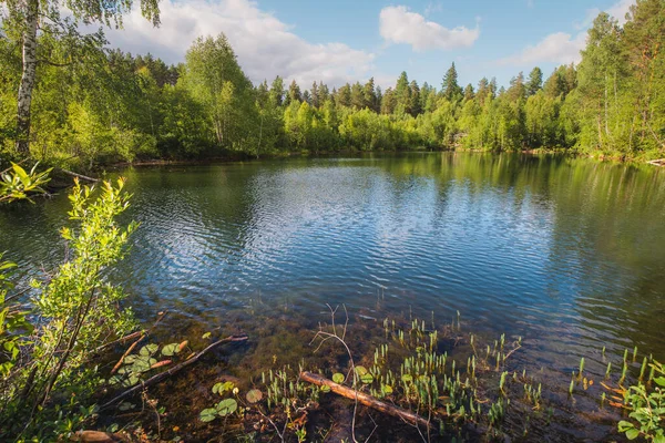 Djup Sjö Förlorad Skogen Begreppet Miljö Och Naturresurser — Stockfoto
