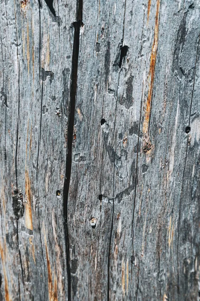 Текстура Сірої Мертвої Деревини Тріщинами Борознами — стокове фото