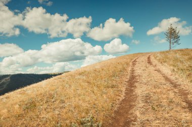 Toprak yol tepeye tırmanır.