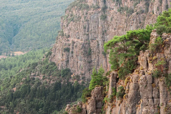 Rocas Con Bosque Rompen Una Profunda Garganta Del Cañón Tazi — Foto de Stock