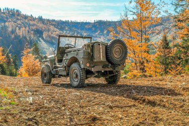 Eski model araba Willys Jeep Beskidy mountains içinde. II. Dünya Savaşında kullanılan Amerikan askeri araç
