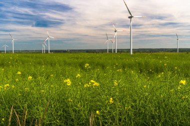 Eko güç. Rüzgar çiftliği. Yenilenebilir enerji kaynakları. Polonya'da rüzgar türbini alanı