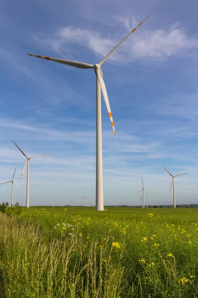 Energia Ecológica Fazenda Eólica Recursos Energéticos Renováveis Campo Turbinas Eólicas — Fotografia de Stock