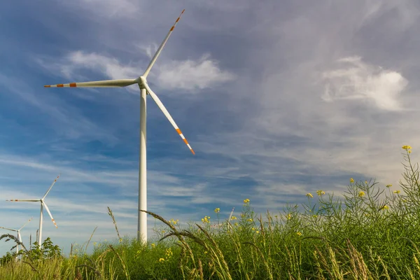 Energia Ecológica Fazenda Eólica Recursos Energéticos Renováveis Campo Turbinas Eólicas — Fotografia de Stock