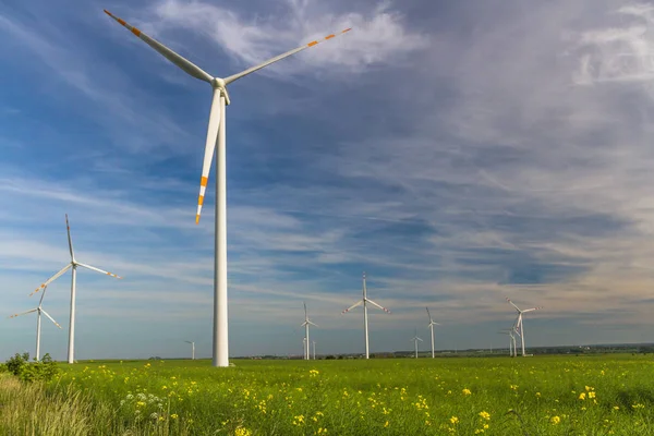 Energia Ecológica Fazenda Eólica Recursos Energéticos Renováveis Campo Turbinas Eólicas — Fotografia de Stock