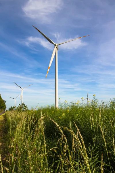 Energia Ecológica Fazenda Eólica Recursos Energéticos Renováveis Campo Turbinas Eólicas — Fotografia de Stock