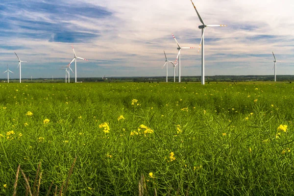 Energia Ecológica Fazenda Eólica Recursos Energéticos Renováveis Campo Turbinas Eólicas — Fotografia de Stock