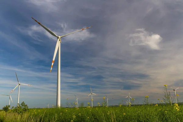 Energia Ecológica Fazenda Eólica Recursos Energéticos Renováveis Campo Turbinas Eólicas — Fotografia de Stock