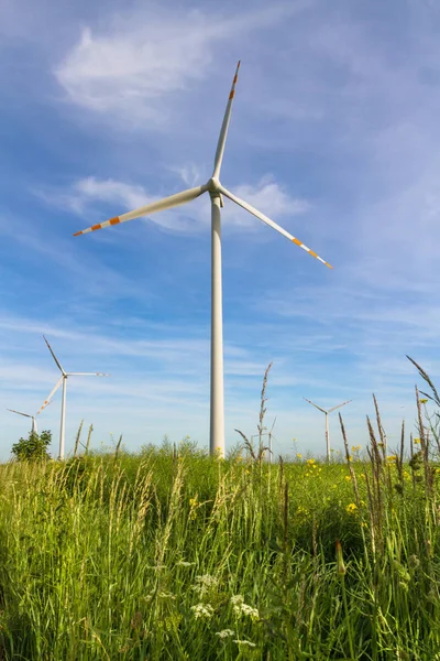 Energia Ecológica Fazenda Eólica Recursos Energéticos Renováveis Campo Turbinas Eólicas — Fotografia de Stock