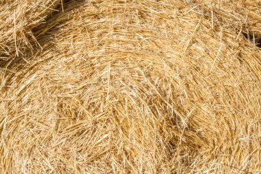 Kapatın. Çiğ ve organik saman balyası. Arkaplan veya doku. 