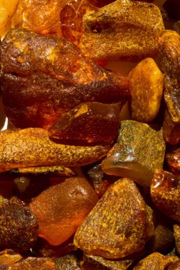 Kapatın. Arka plan, doku. Turuncu, kahverengi ve sarı doğal, ham kehribar taşları Baltık Denizi 'nin Polonya maliyetinde bulundu.   