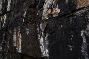 Kapatın. Rocky Dağları 'ndaki siyah, beyaz ve kahverengi kaya deseni, Kanada Arkaplanı veya dokusu  