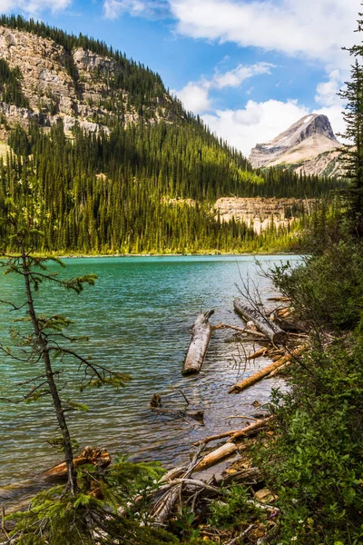 Les Montagnes Rocheuses Des Arbres Morts Tombés Ornent Rive Lac — Photo