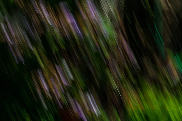 Zavřít Rozmazané Pohybové Záhony Abstraktní Obrázek Pozadí Černé Zelené Fialové — Stock fotografie