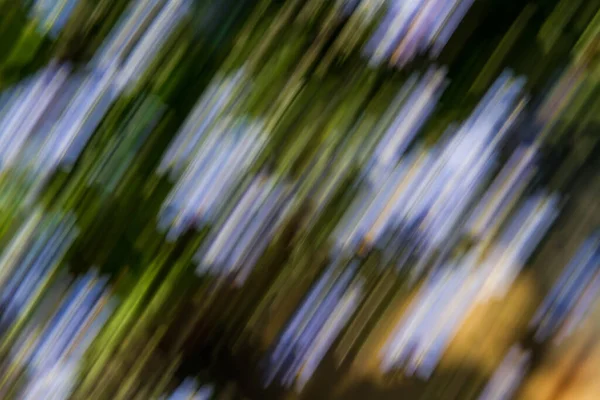 Close Blurred Motion Flowerbeds Abstract Background Image Black Blue Green — Stock Photo, Image