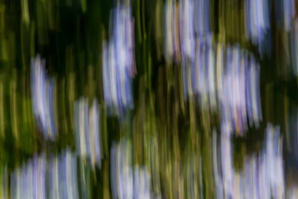Близько Розмиті Рухи Клумби Абстрактне Зображення Тла Фон Чорних Синіх — стокове фото