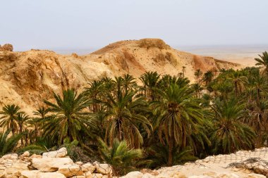 Chebika vahası yakınlarındaki pitoresk Djebel el Negueb dağ sırası. Tauzar, Tunus, Afrika