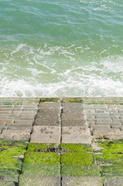 Seaside Symmetry — Stockfoto