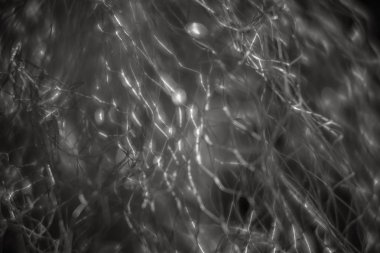 Arka plan bulanık. Güzel çizgiler belirir ve bulanık metal ile ufuk bokeh net hafif lekeler