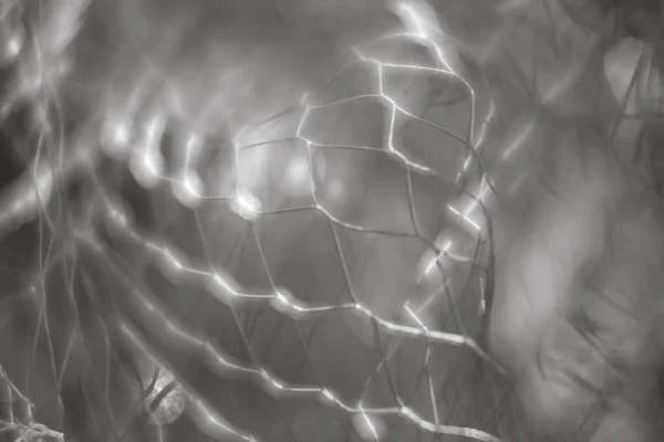 Абстрактный Размытый Фон Красивые Линии Светлые Пятна Размытой Металлической Сетки — стоковое фото
