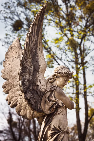 Antigua Estatua Tumba Cementerio Lychakivskyj Lviv Ucrania Imagen Vintage Look —  Fotos de Stock