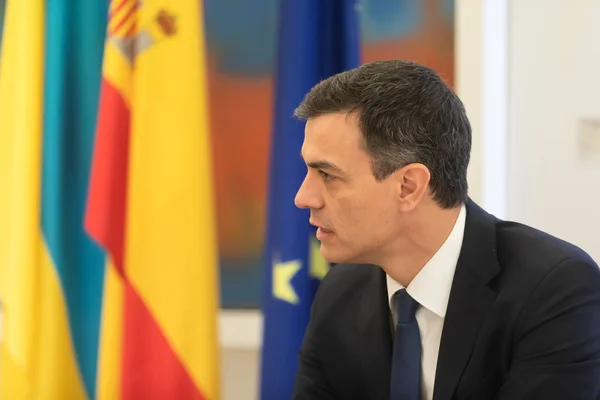 Madrid Spain Jun 2018 Prime Minister Spain Pedro Sanchez Meeting — Stock Photo, Image