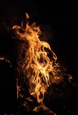 Gece kamp ateşi alevleri. Siyah bir zemin üzerine alevler ateş