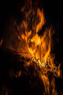 Gece kamp ateşi alevleri. Siyah bir zemin üzerine alevler ateş