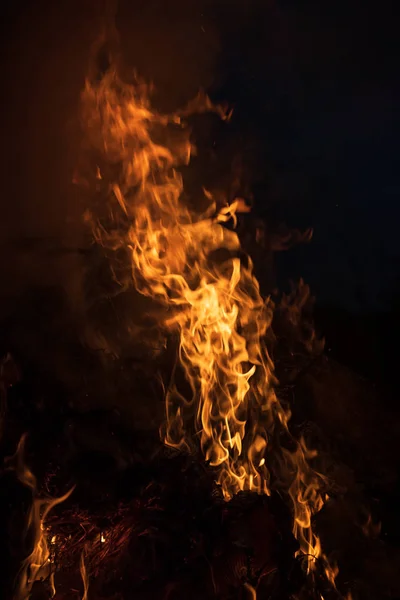 Vlammen Van Een Kampvuur Nacht Brand Vlammen Een Zwarte Achtergrond — Stockfoto