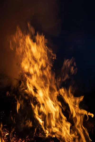 Las Llamas Una Fogata Noche Llamas Fuego Sobre Fondo Negro — Foto de Stock