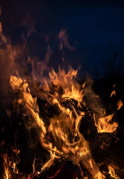 Las Llamas Una Fogata Noche Llamas Fuego Sobre Fondo Negro — Foto de Stock