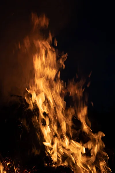 Flames of a campfire in the night. Fire flames on a black background