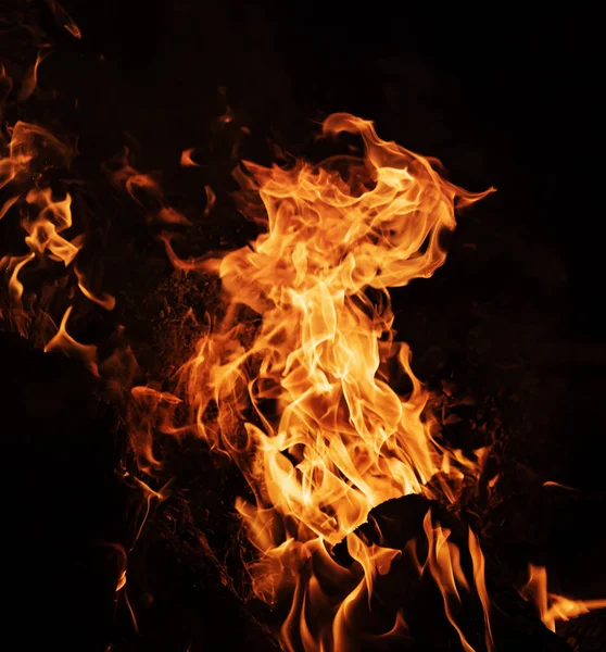 篝火在夜间的火焰 黑色背景下的火焰 — 图库照片