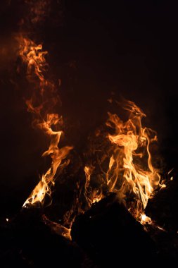 Gece şenlik ateşi alevleri. Siyah bir zemin üzerine alevler ateş