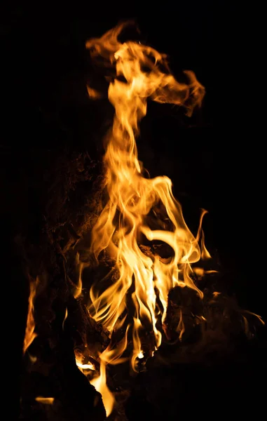 Flames Bonfire Night Fire Flames Black Background — Stock Photo, Image