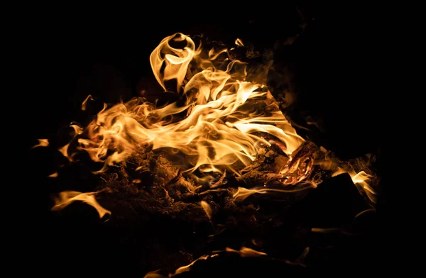 Flames Bonfire Night Fire Flames Black Background — Stock Photo, Image