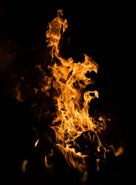 Flames Bonfire Night Fire Flames Black Background — Stock Photo, Image