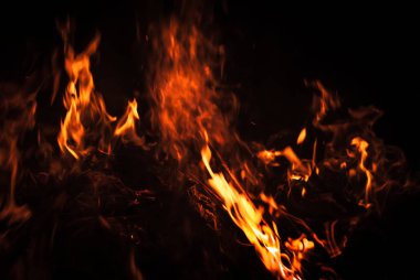 Gece şenlik ateşi. Siyah bir zemin üzerine alevler ateş