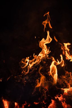Yangın, şenlik ateşi, kamp ateşi. Gece şenlik ateşi alevleri. Siyah bir zemin üzerine alevler ateş