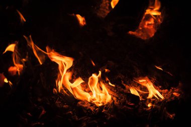 Yangın, şenlik ateşi, kamp ateşi. Gece şenlik ateşi alevleri. Siyah bir zemin üzerine alevler ateş