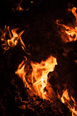 Yangın, şenlik ateşi, kamp ateşi. Gece şenlik ateşi alevleri. Siyah bir zemin üzerine alevler ateş