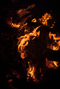 Yangın, şenlik ateşi, kamp ateşi. Gece şenlik ateşi alevleri. Siyah bir zemin üzerine alevler ateş