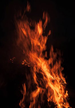 Yangın, şenlik ateşi, kamp ateşi. Gece şenlik ateşi alevleri. Siyah bir zemin üzerine alevler ateş