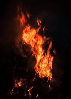 Yangın, şenlik ateşi, kamp ateşi. Gece şenlik ateşi alevleri. Siyah bir zemin üzerine alevler ateş