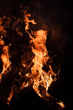 Yangın, şenlik ateşi, kamp ateşi. Gece şenlik ateşi alevleri. Siyah bir zemin üzerine alevler ateş