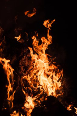 Yangın, şenlik ateşi, kamp ateşi. Gece şenlik ateşi alevleri. Siyah bir zemin üzerine alevler ateş