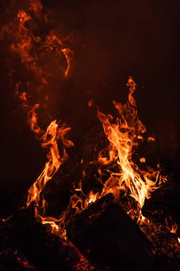 Yangın, şenlik ateşi, kamp ateşi. Gece şenlik ateşi alevleri. Siyah bir zemin üzerine alevler ateş