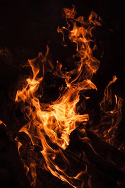 Yangın, şenlik ateşi, kamp ateşi. Gece şenlik ateşi alevleri. Siyah bir zemin üzerine alevler ateş
