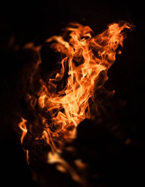 Yangın, şenlik ateşi, kamp ateşi. Gece şenlik ateşi alevleri. Siyah bir zemin üzerine alevler ateş